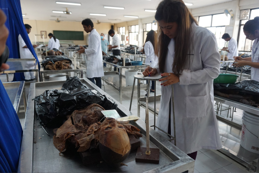 DMSF a top college to study MBBS abroad